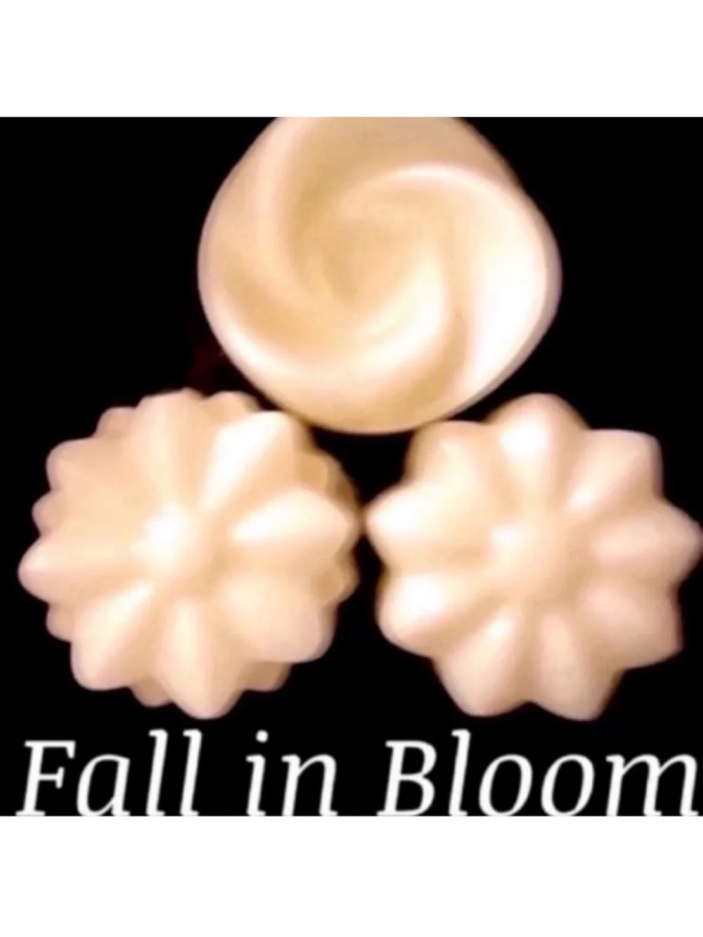 Bath and Body Works Candle Wax Melt Bundle - Picture 2 of 10